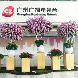 國(guó)際媒體港